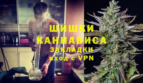 крисы Билибино