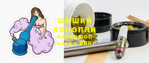 крисы Билибино