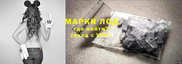 крисы Билибино
