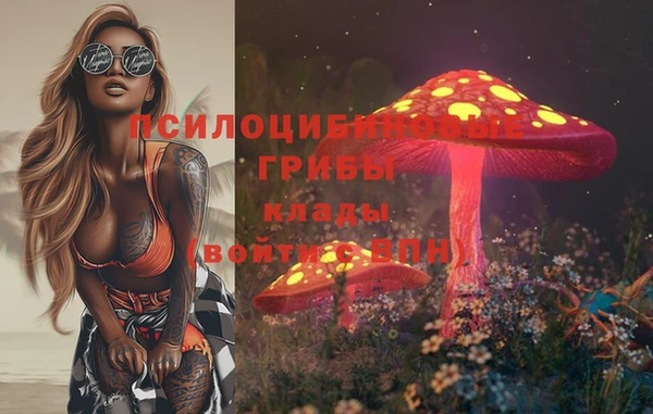 трава Беслан