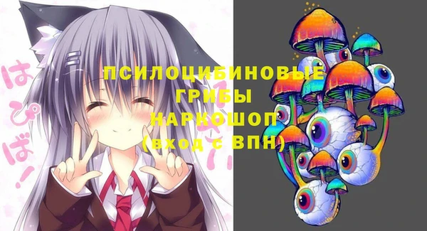 крисы Билибино