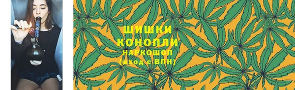 крисы Билибино