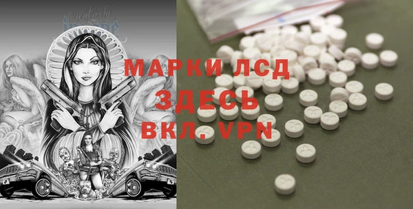 крисы Билибино