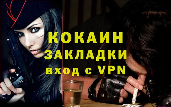 крисы Билибино