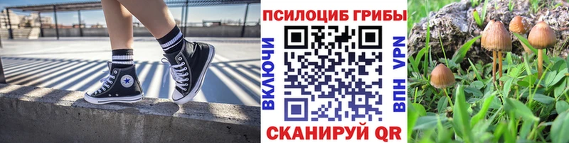 Псилоцибиновые грибы Magic Shrooms  Инза 